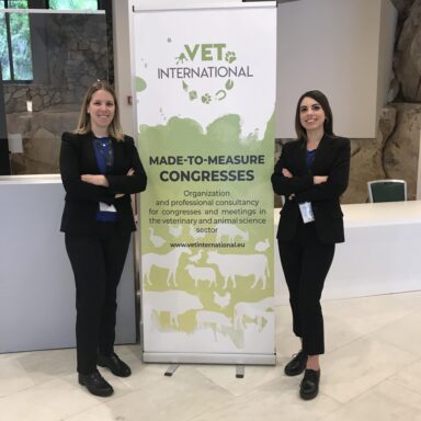 vet international