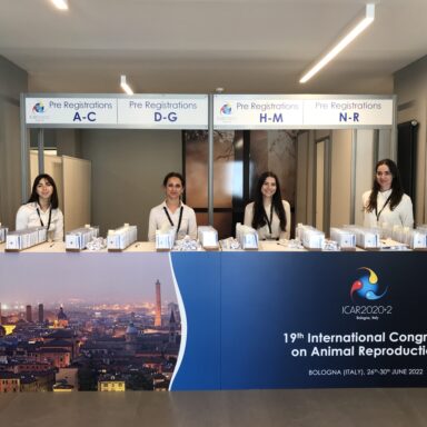 comunicazione creativa MZ