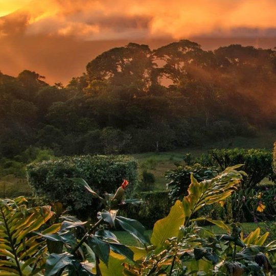 costa rica viaggi incentive