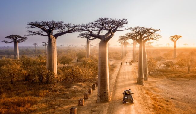 madagascar viaggi incentive