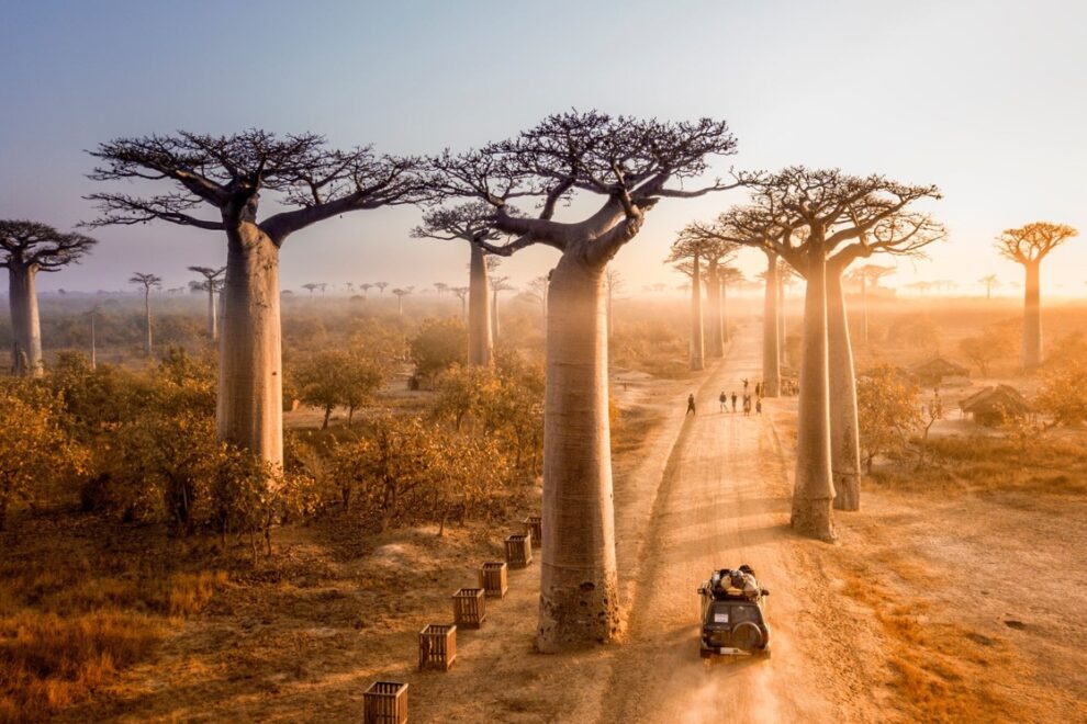 madagascar viaggi incentive